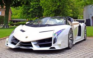 Lamborghini Veneno Roadster '2014